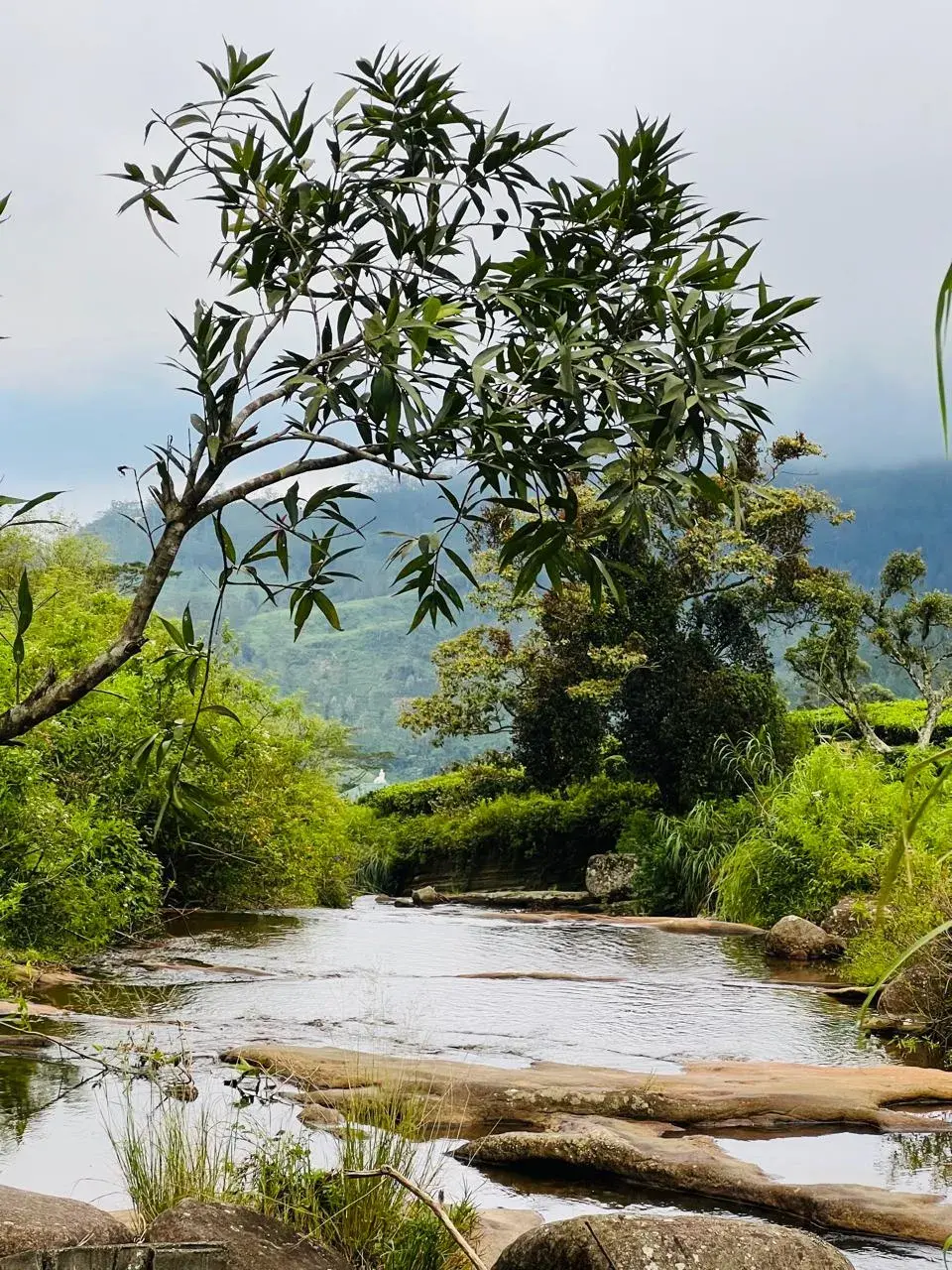 Delft Tours Gallery Image 4